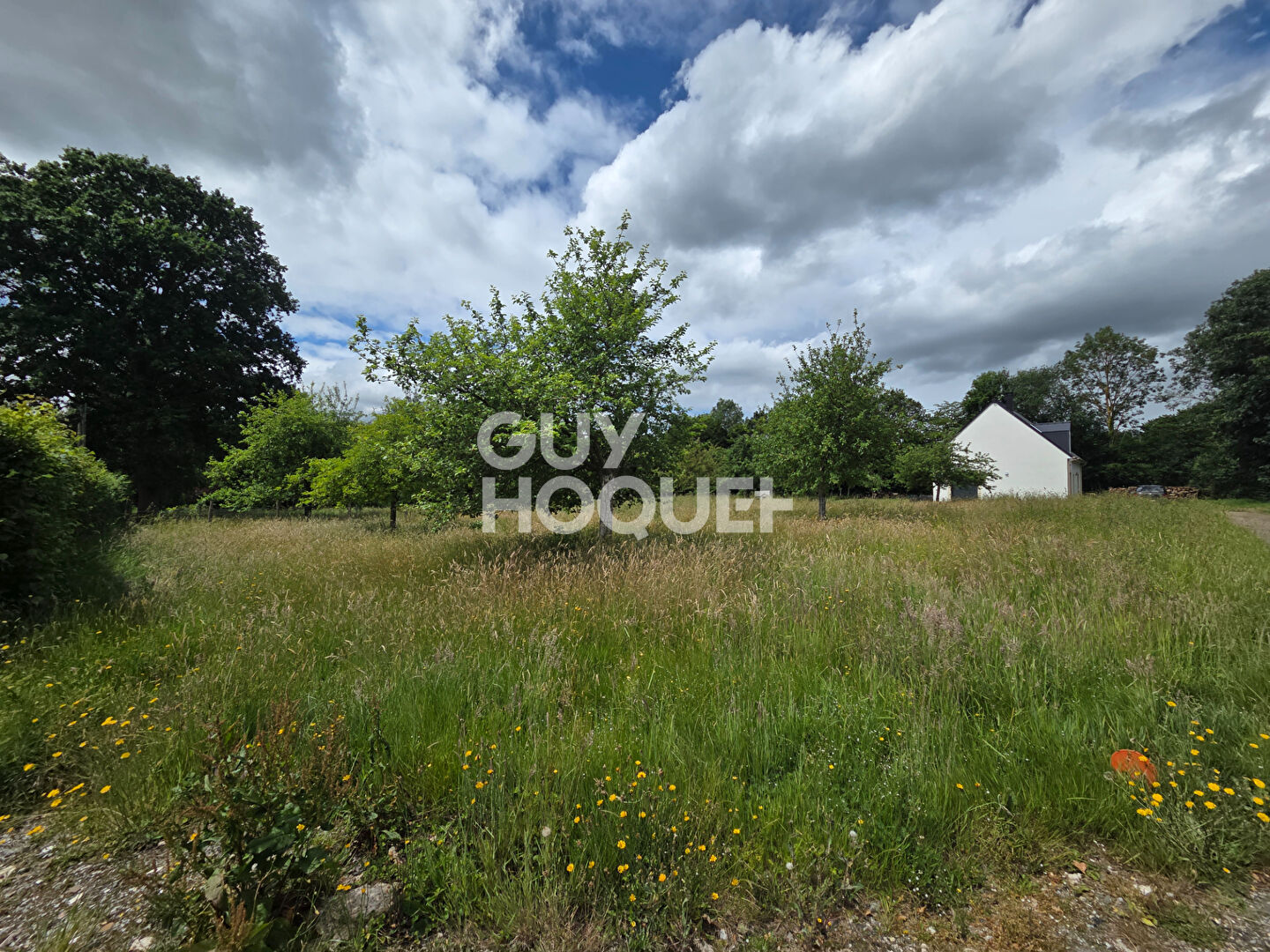 Terrain Hauville 958 m2