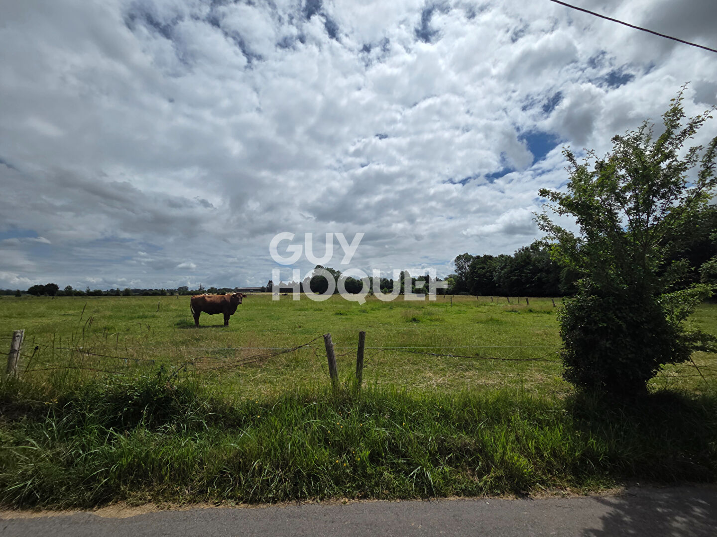Terrain Hauville 958 m2