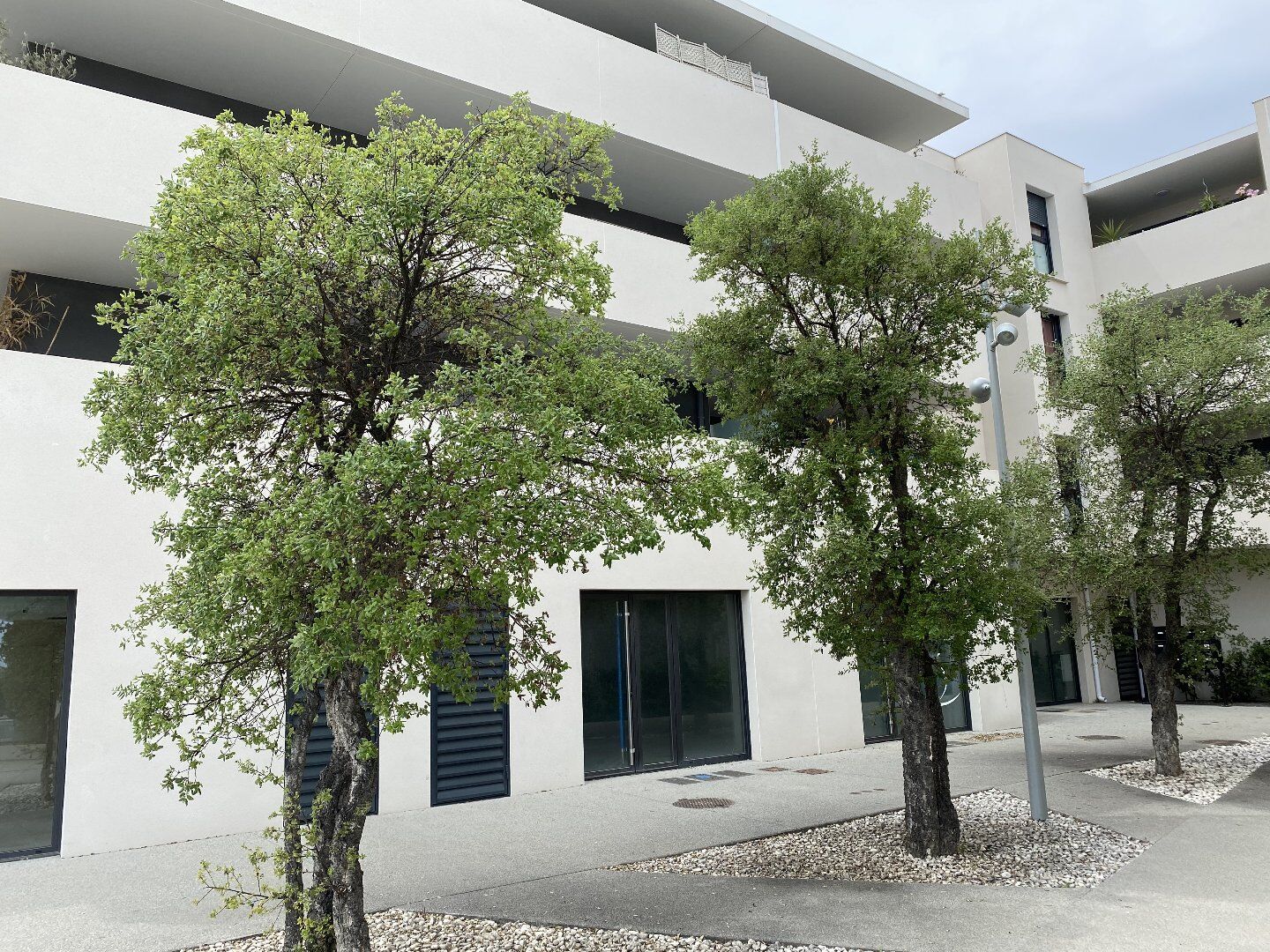 Local 65m2 Carrefour RT de Canet proche Carr d'OR