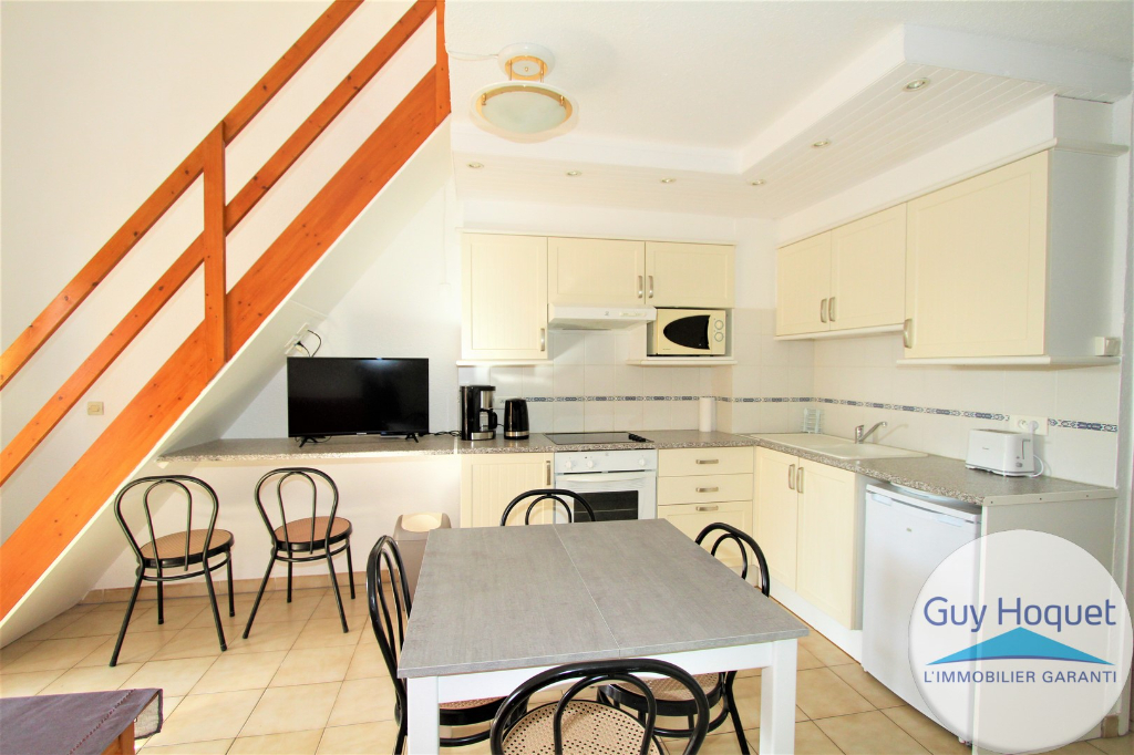 Appartement meublé T2 + mezzanine avec balcon et toit terrasse