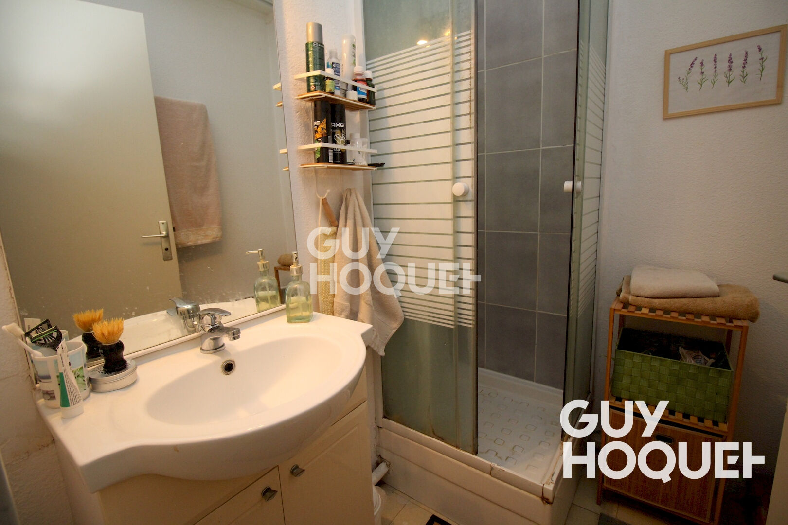 Appartement - Studio Cabine - Vue Canigou -