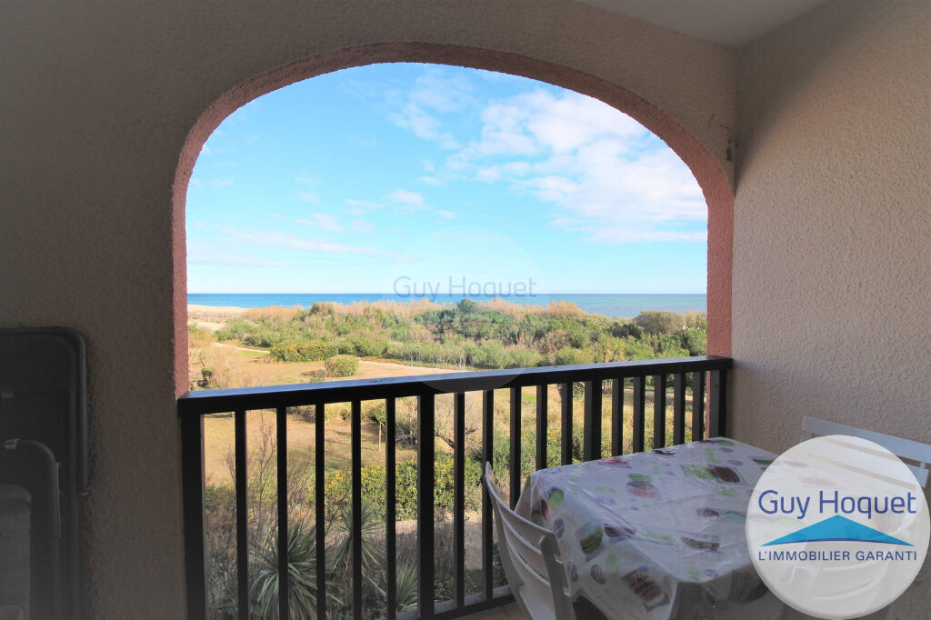 Saint Cyprien Lagune (66750) Studio Cabine 21m² avec terrasse vue mer + parking