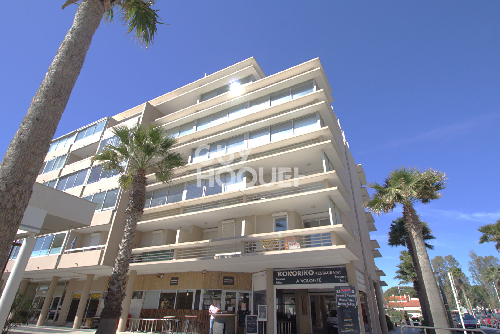 Appartement T1 Bis- Vue Canigou