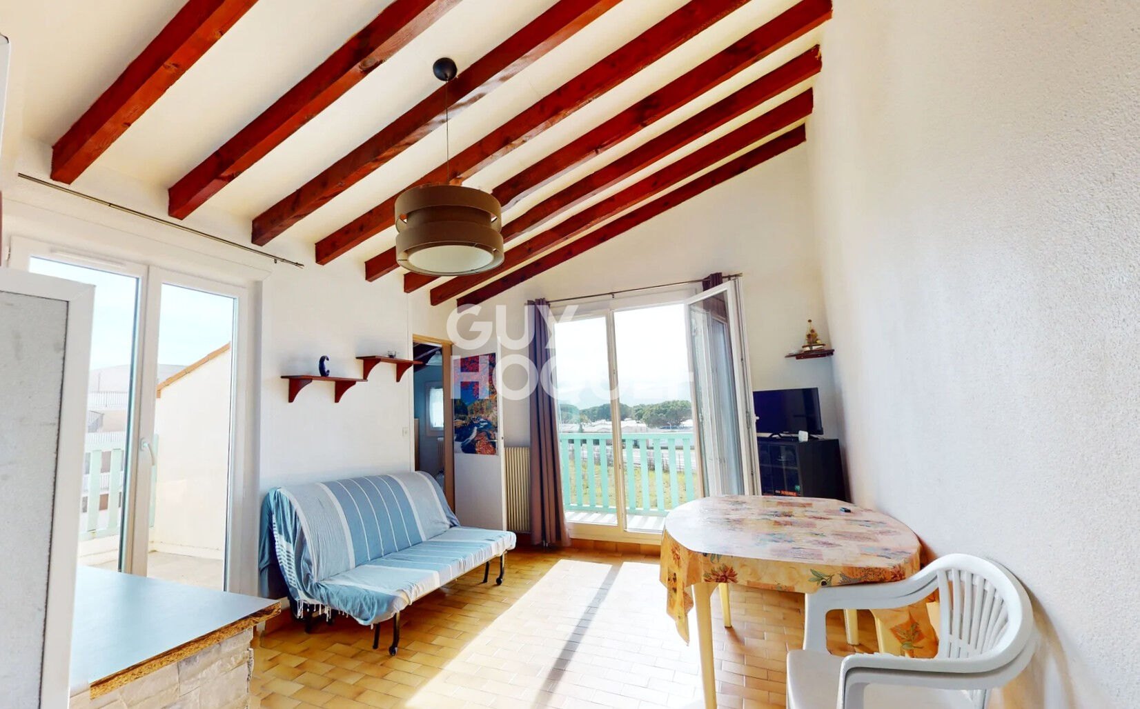 Appartement T3 - Vue étang  et Canigou