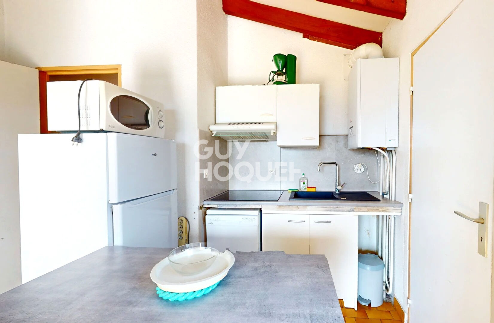 Appartement T3 - Vue étang  et Canigou