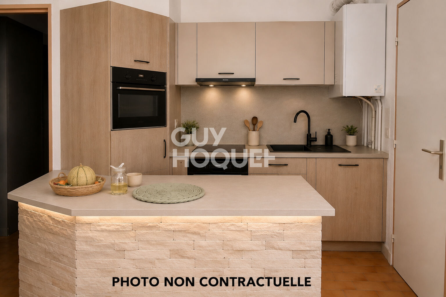 Appartement T3 - Vue étang  et Canigou