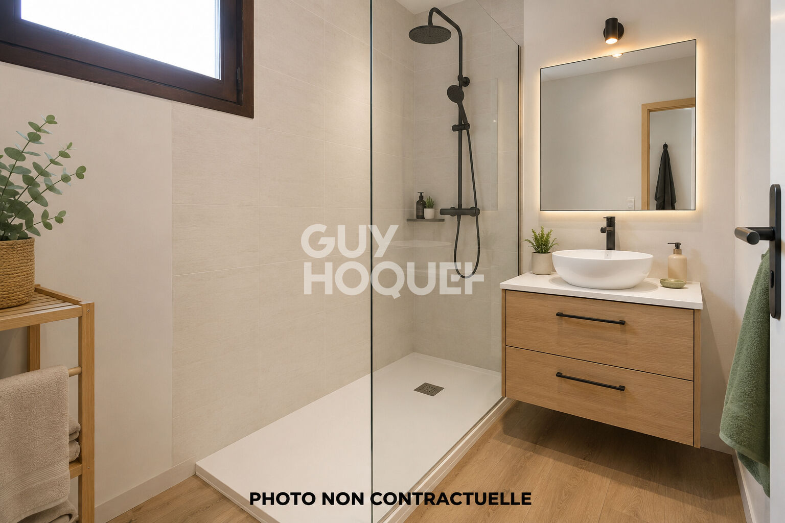 Appartement T3 - Vue étang  et Canigou