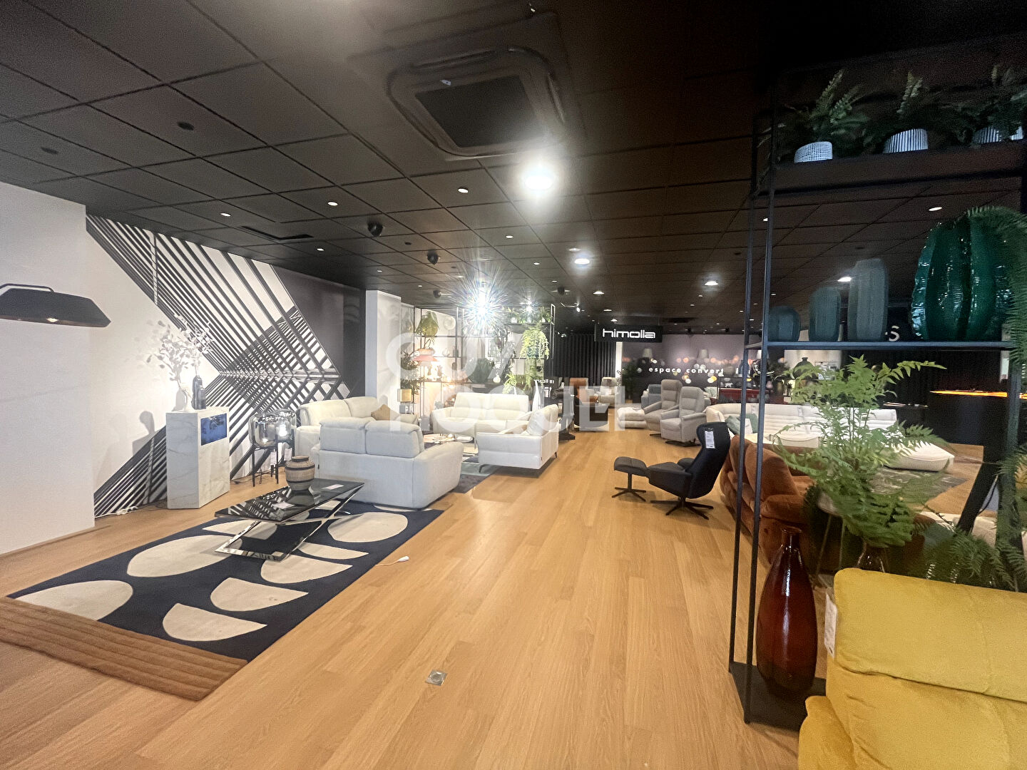 Local 410m2 Emplacement N 1 Mas Guerido RARE