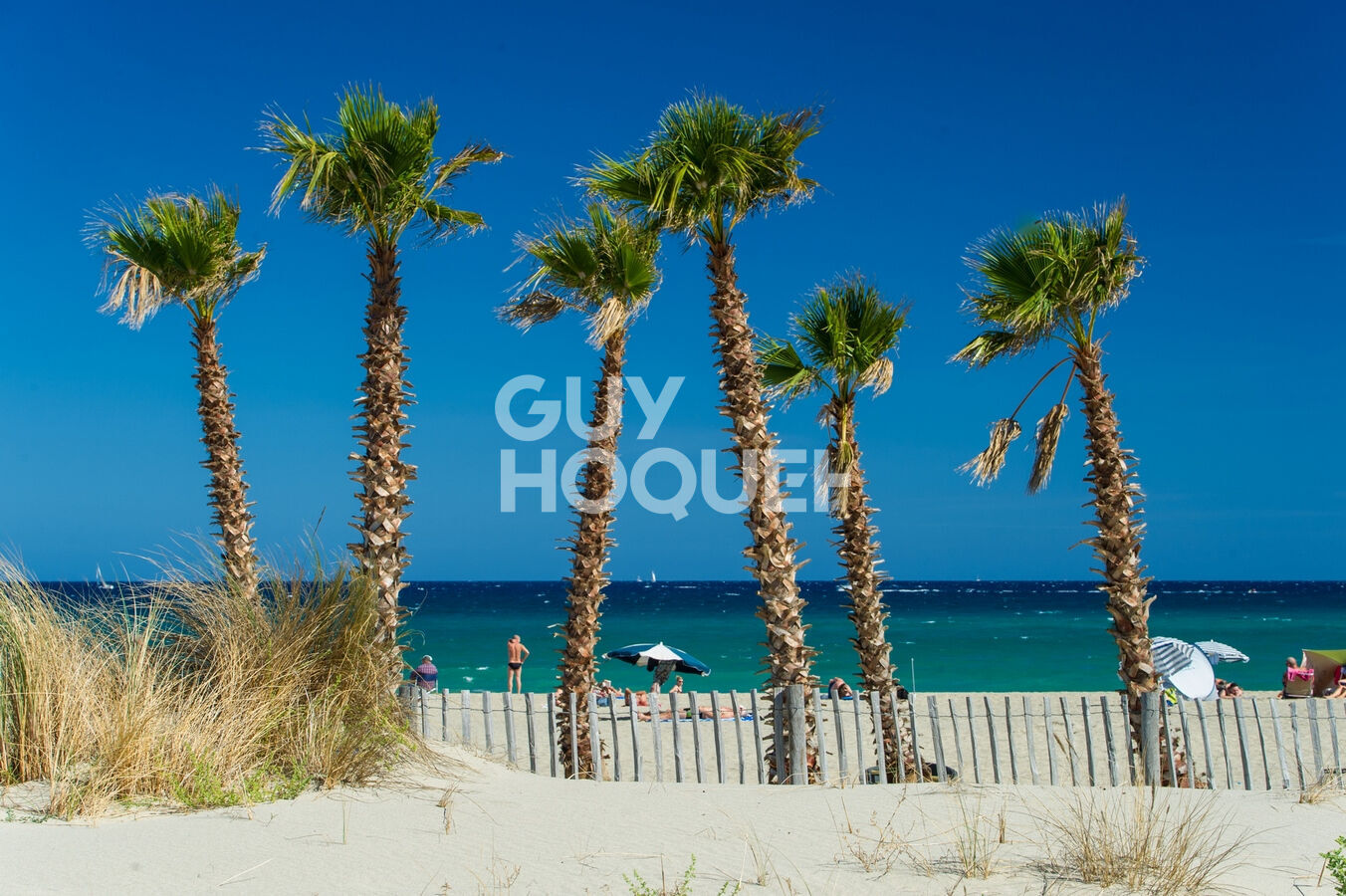 FOND DE COMMERCE EMPLACEMENT RARE SAINT CYPRIEN 66750