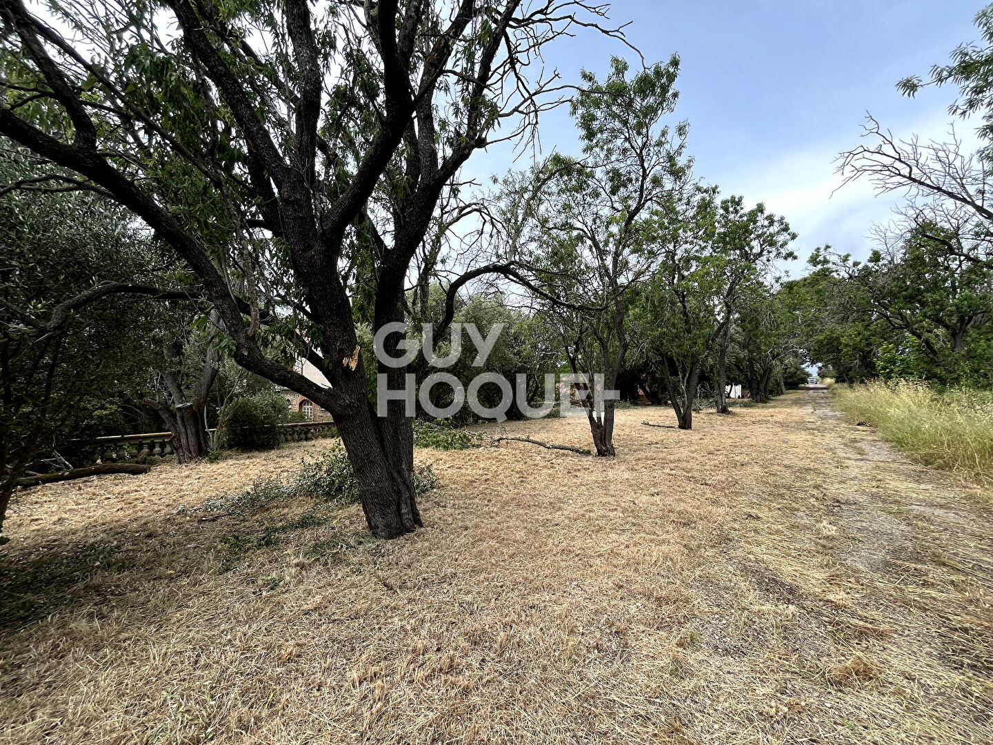 Bâtisse exceptionnelle face au Lac idéal  projet professionel