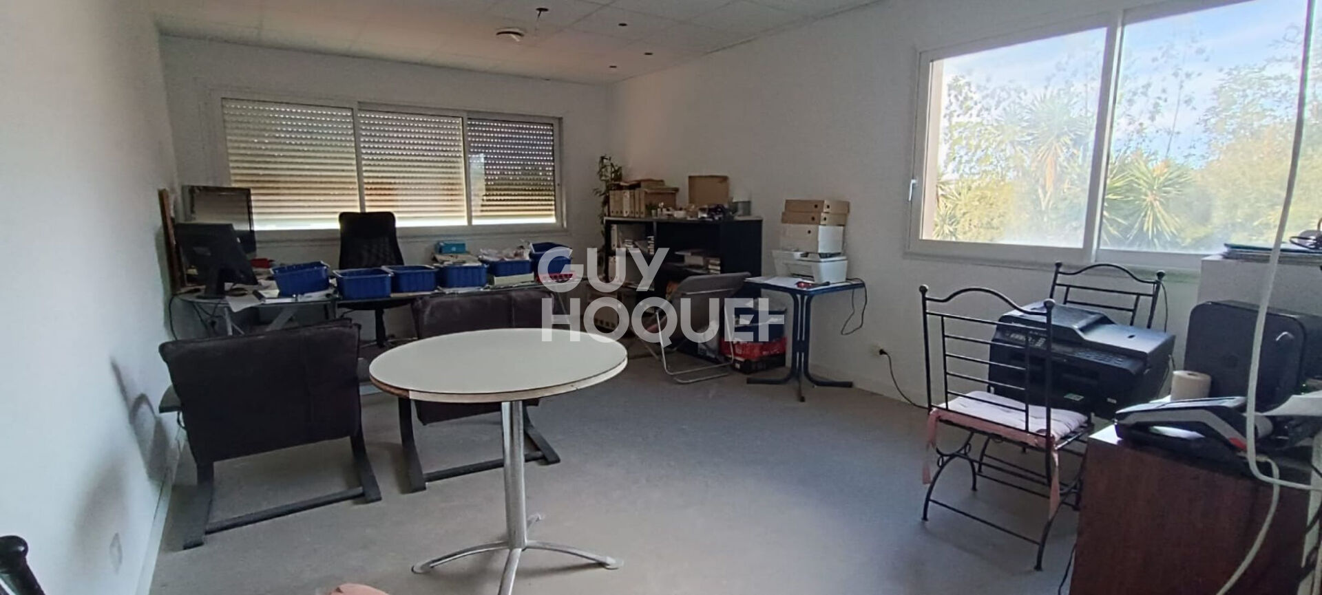 Murs commerciaux  a usage professionnel 550m2