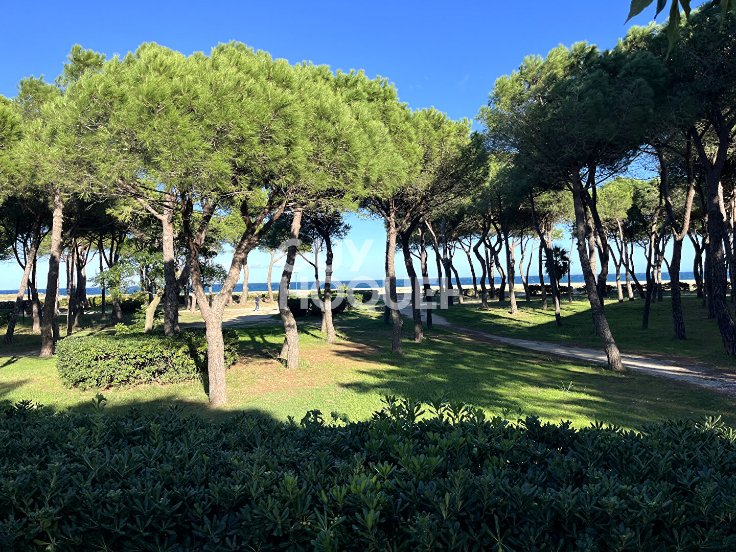 Appartement  200M DE LA MER