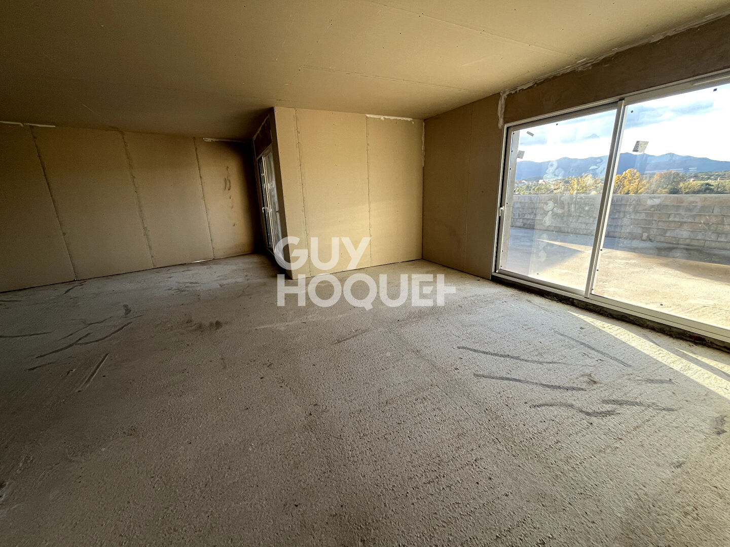 Ideal Professionnel Appart + Hangar