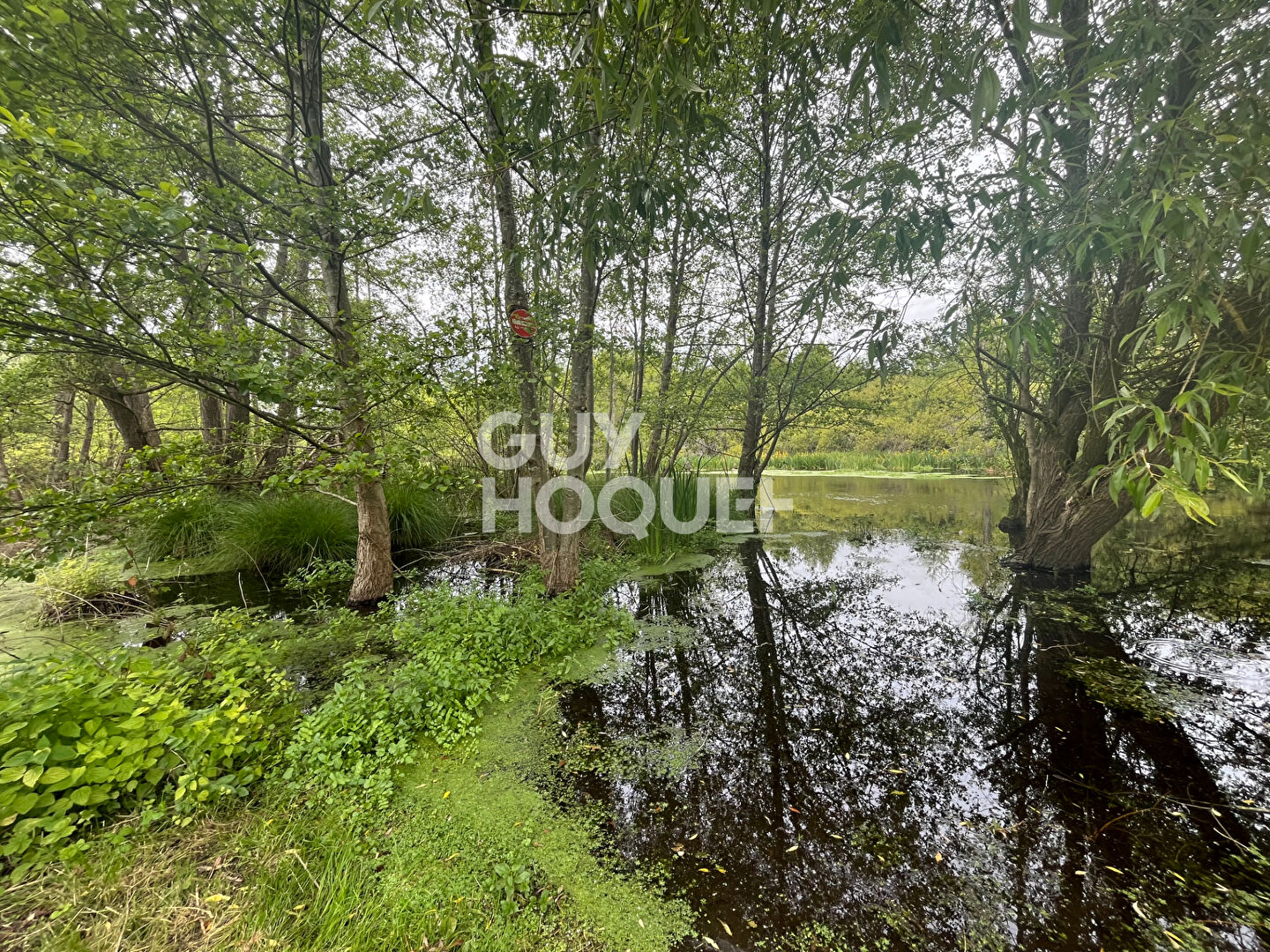 Maison à vendre à Conie Molitard - Référence 6393