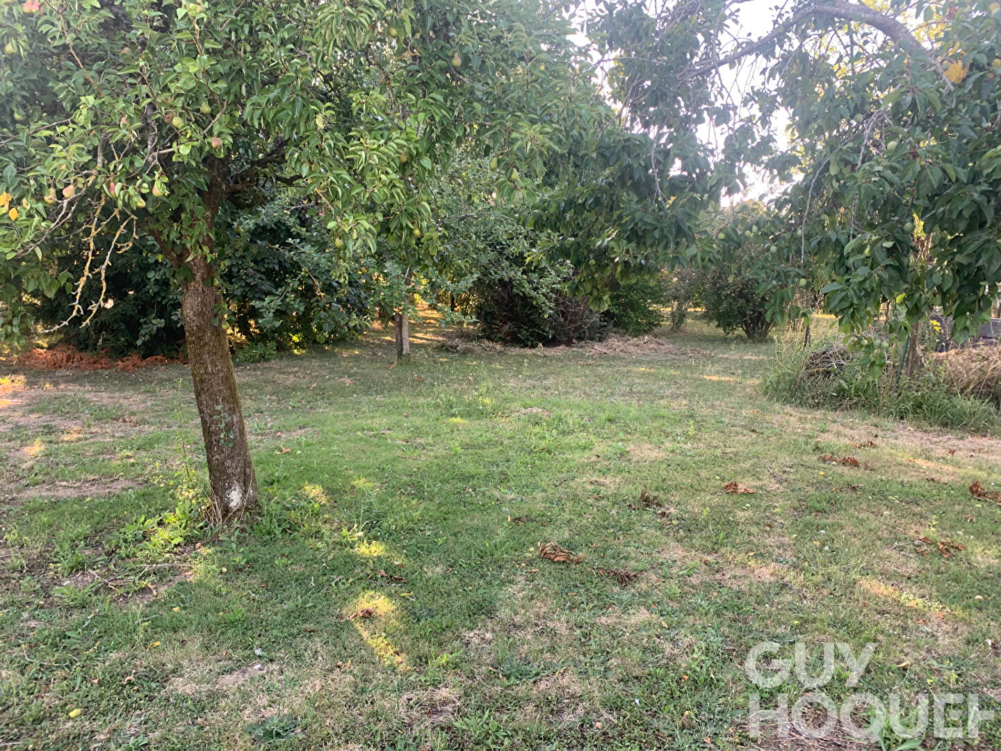 Terrain à vendre à Beauce la Romaine - Réf. 6421