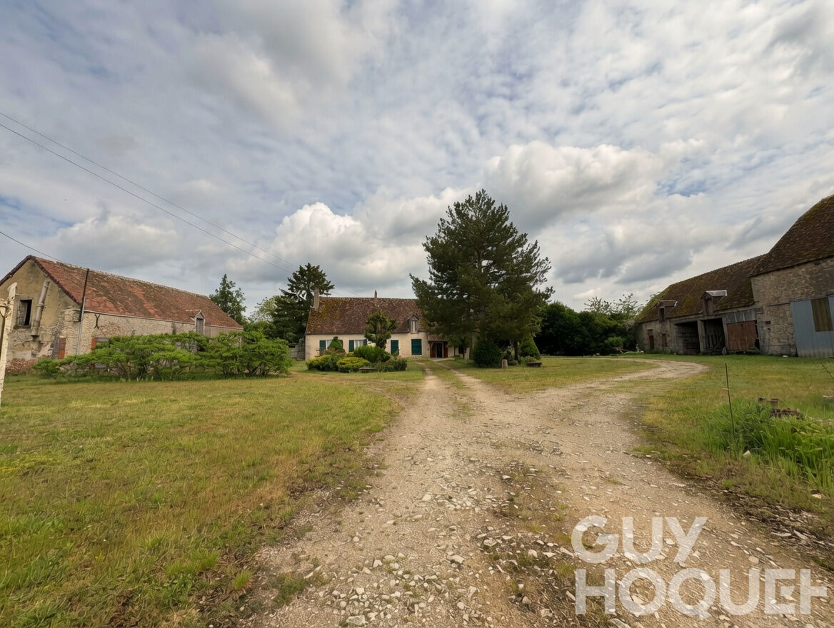 Ancien Château avec dépendances sur plus de 5 000 m² de terrain ? Ouzouer-le-Doyen