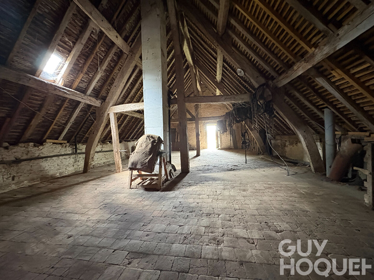 Ancien Château avec dépendances sur plus de 5 000 m² de terrain ? Ouzouer-le-Doyen