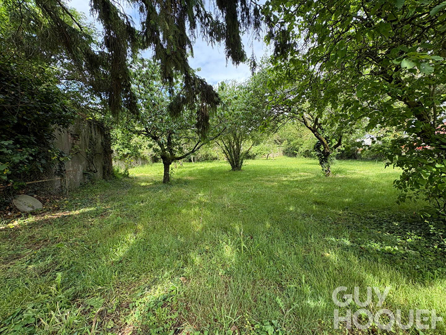 Ancien Château avec dépendances sur plus de 5 000 m² de terrain ? Ouzouer-le-Doyen