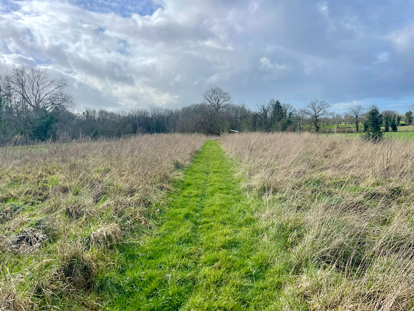 LE TRONCHET - EXCLUSIVITE 