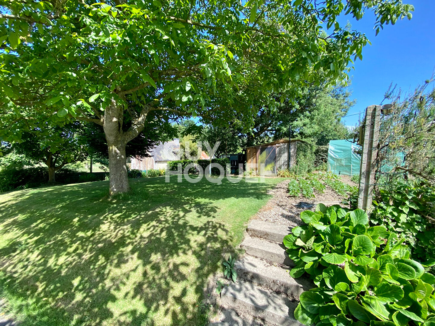 ROZ LANDRIEUX - EXCLUSIVITE !