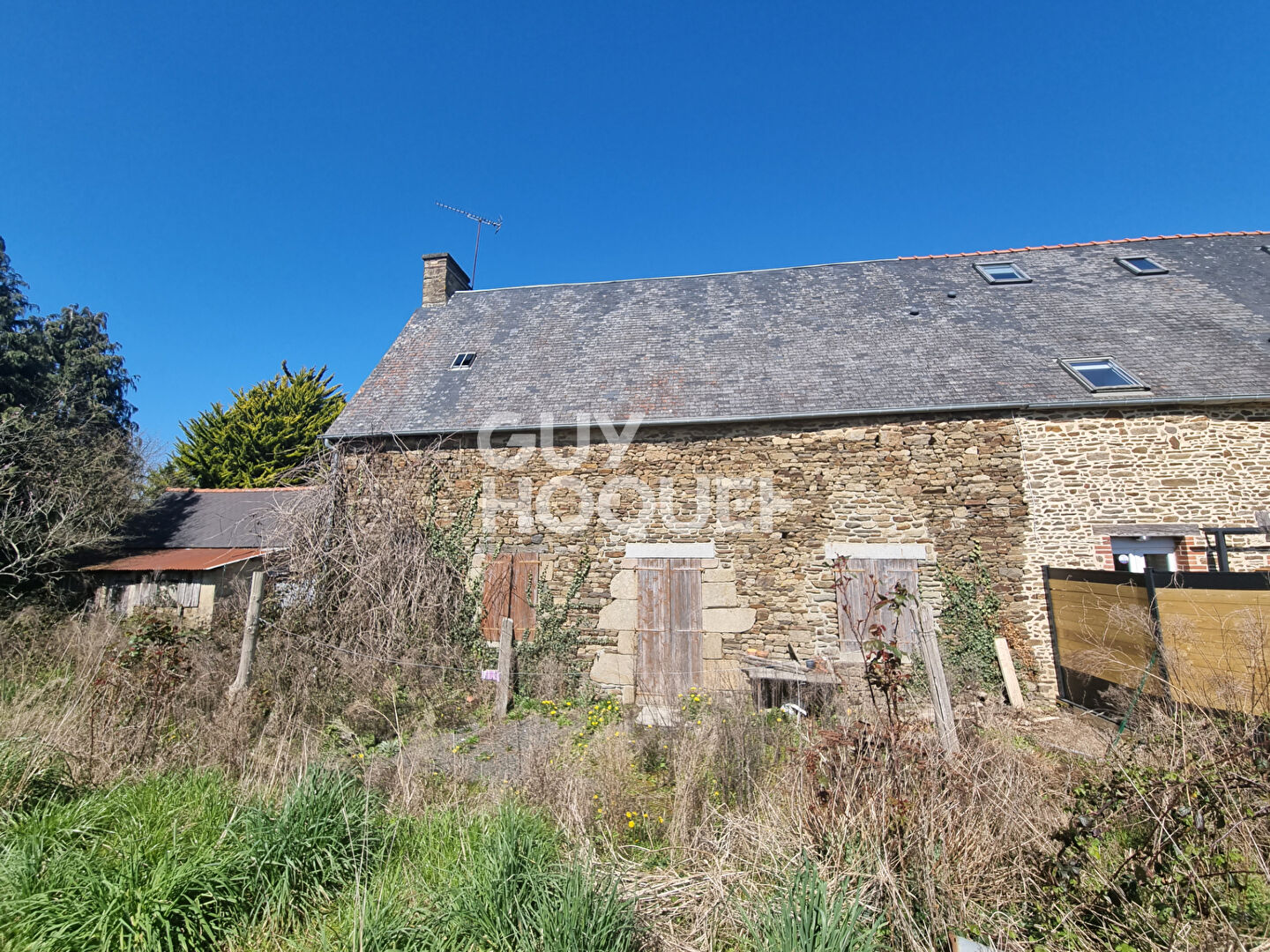 VIEUX VIEL -EXCLUSIVITÉ