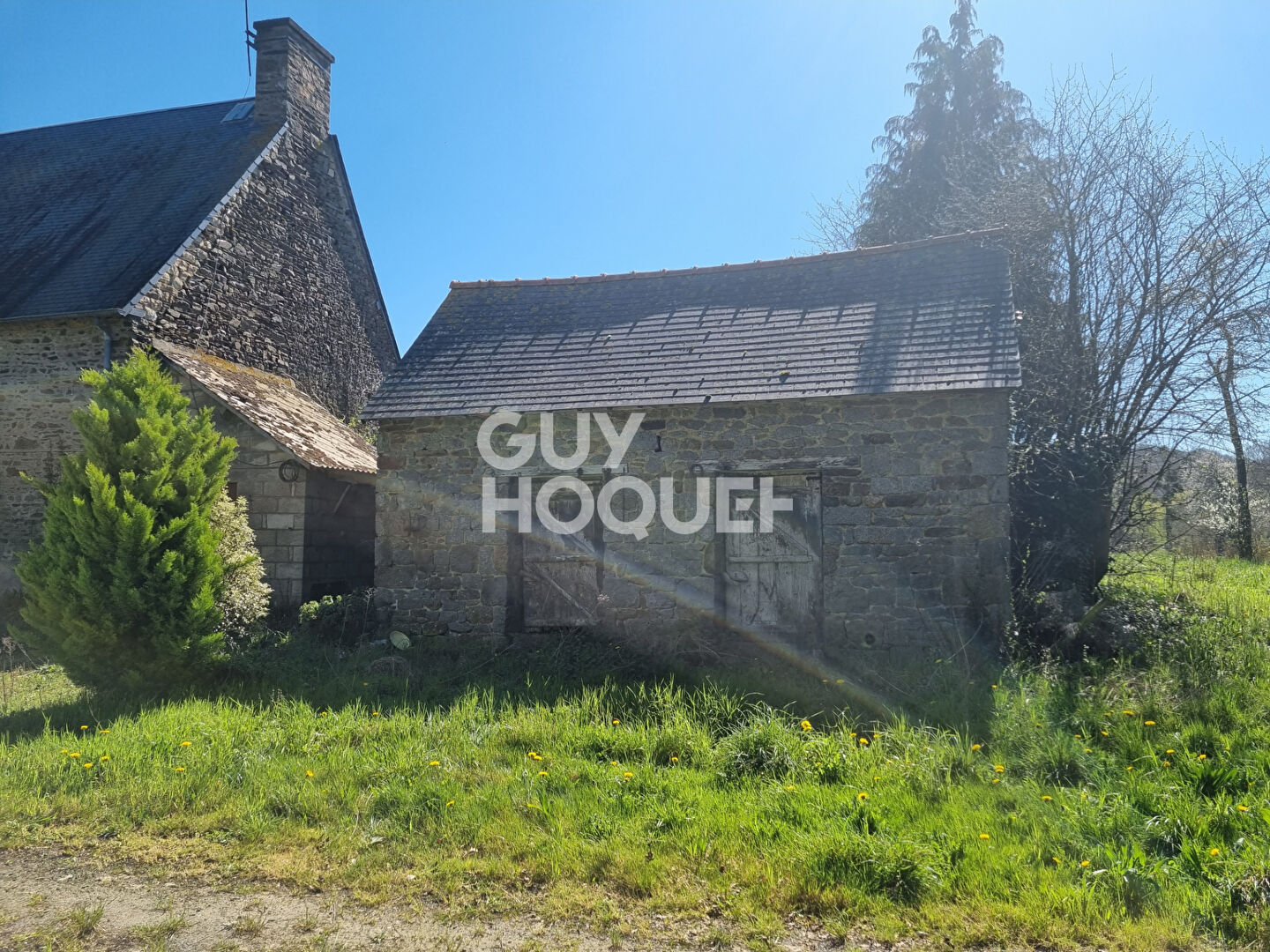 VIEUX VIEL -EXCLUSIVITÉ