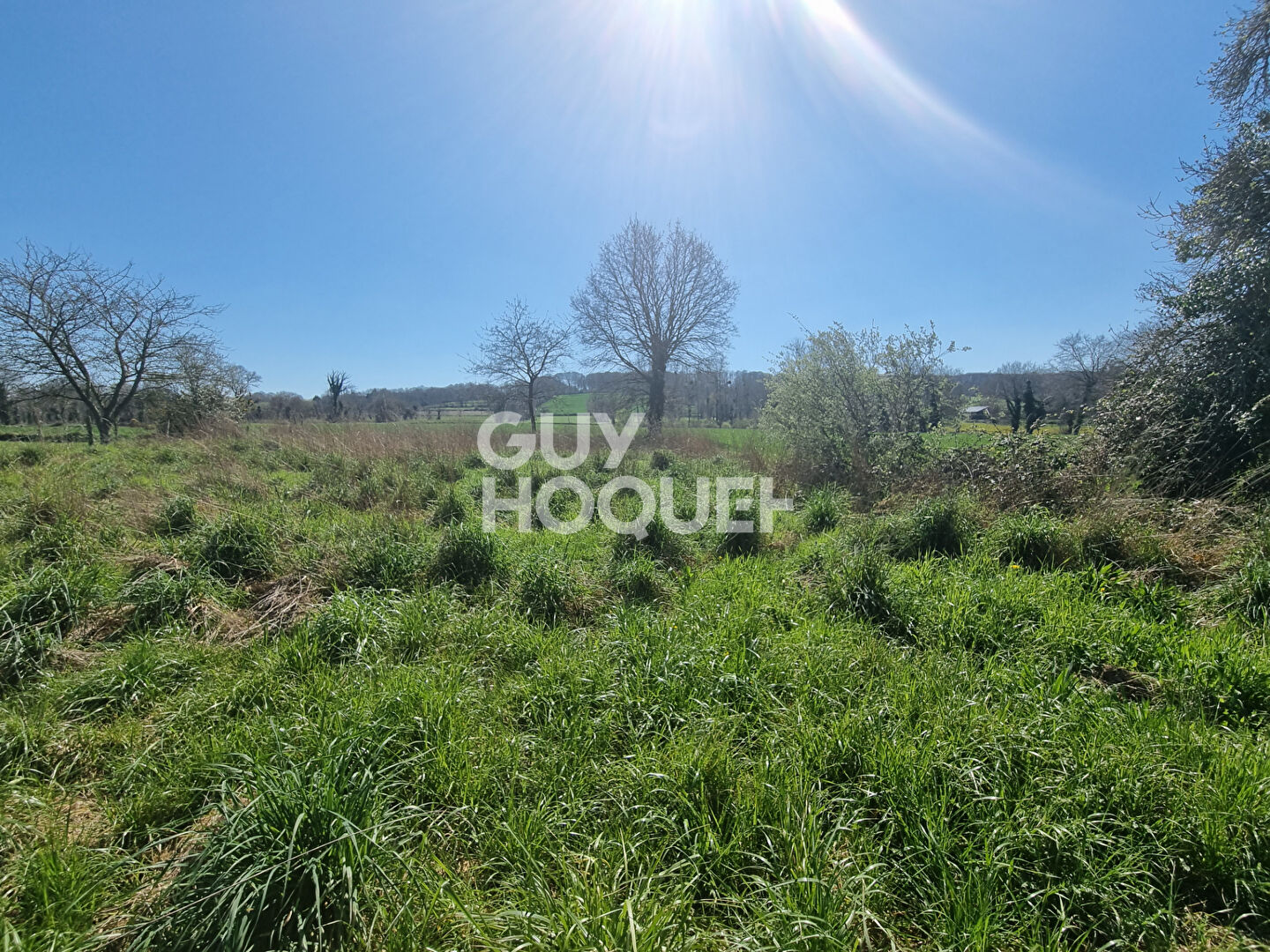 VIEUX VIEL -EXCLUSIVITÉ