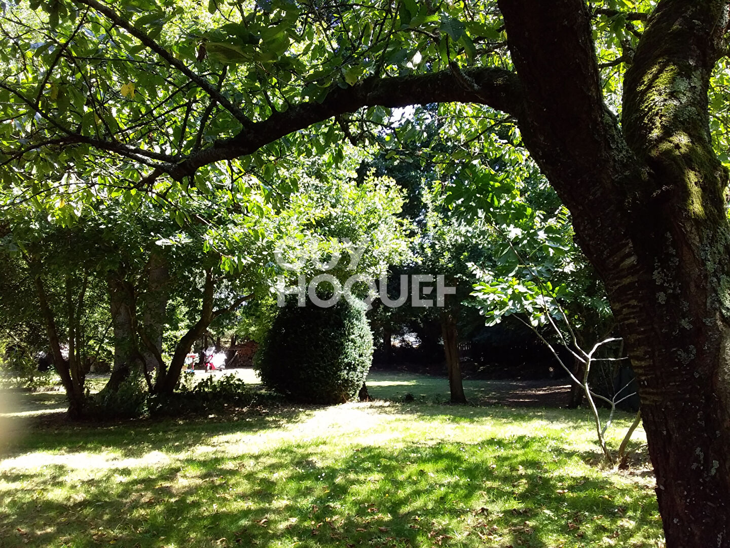 MINIAC MORVAN - EXCLUSIVITE !