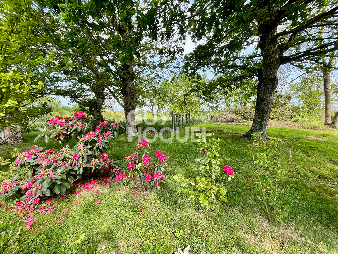 BAGUER MORVAN - EXCLUSIVITE ! 