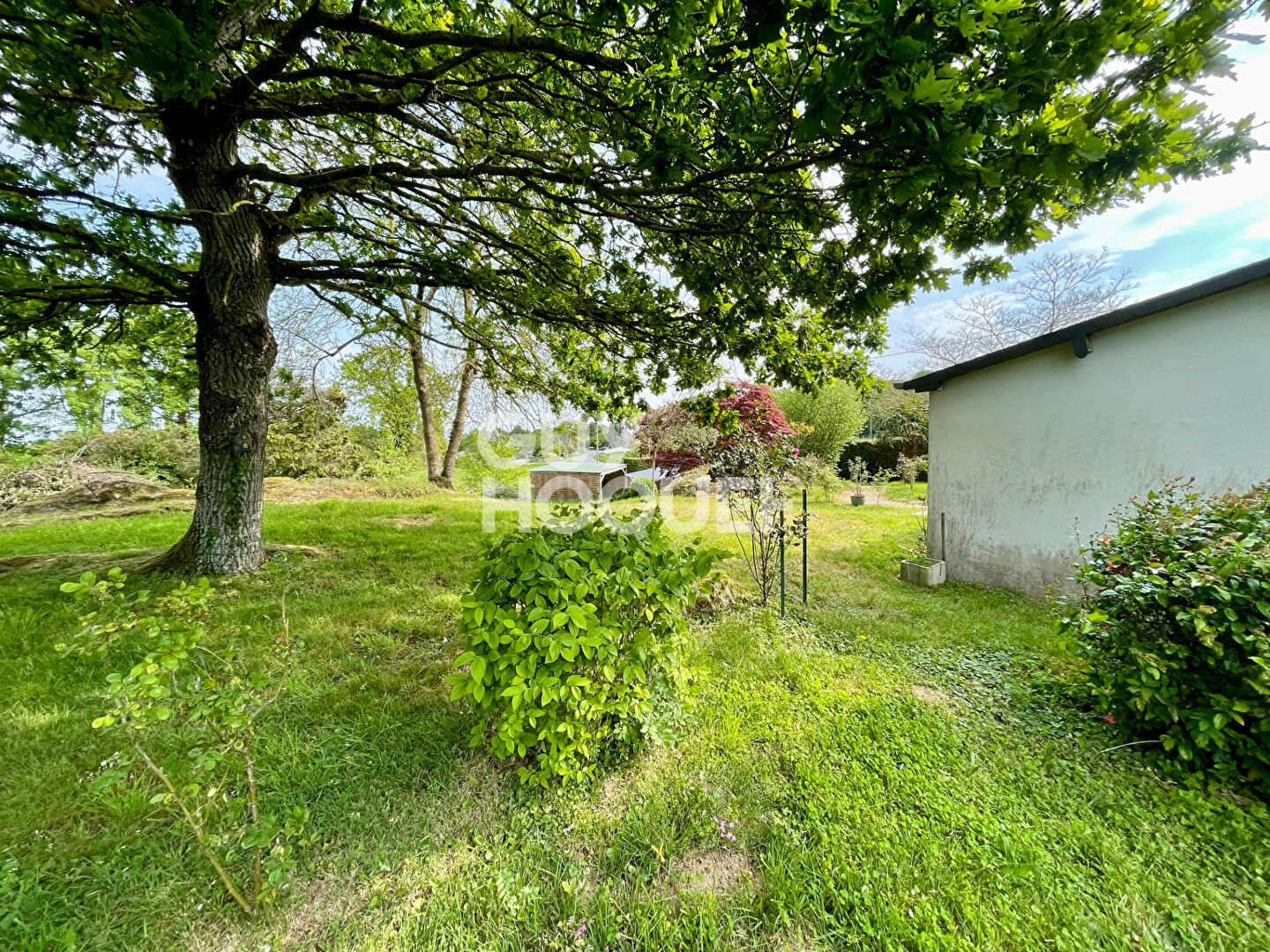 BAGUER MORVAN - EXCLUSIVITE ! 