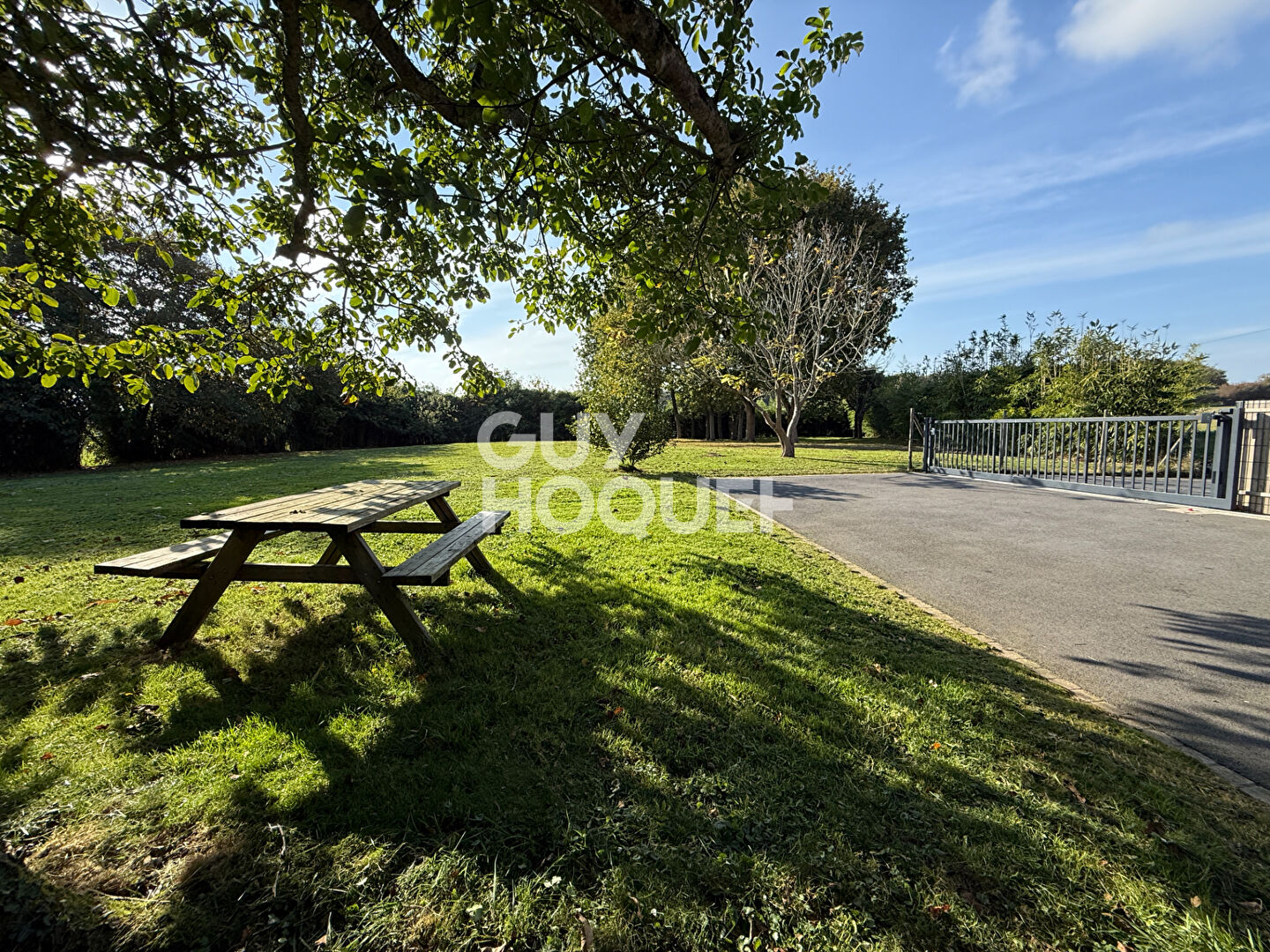 SAINS - EXCLUSIVITE !