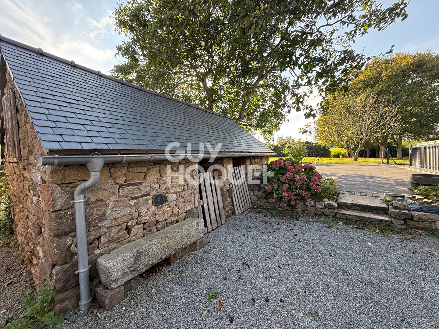 SAINS - EXCLUSIVITE !