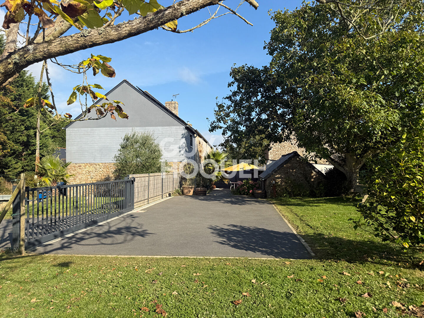 SAINS - EXCLUSIVITE !