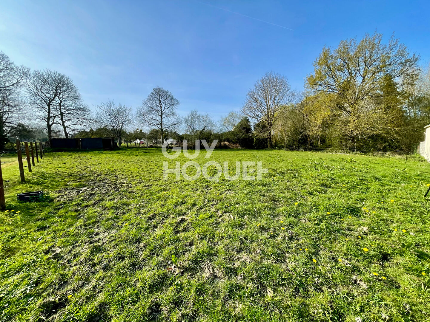 VIEUX VIEL - EXCLUSIVITE !