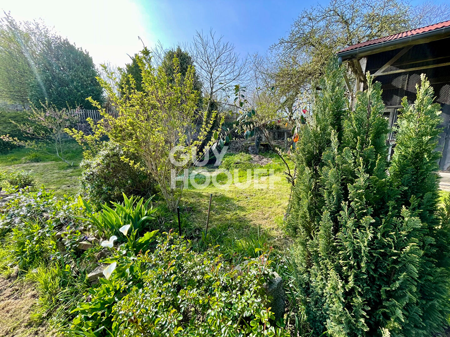 VIEUX VIEL - EXCLUSIVITE !