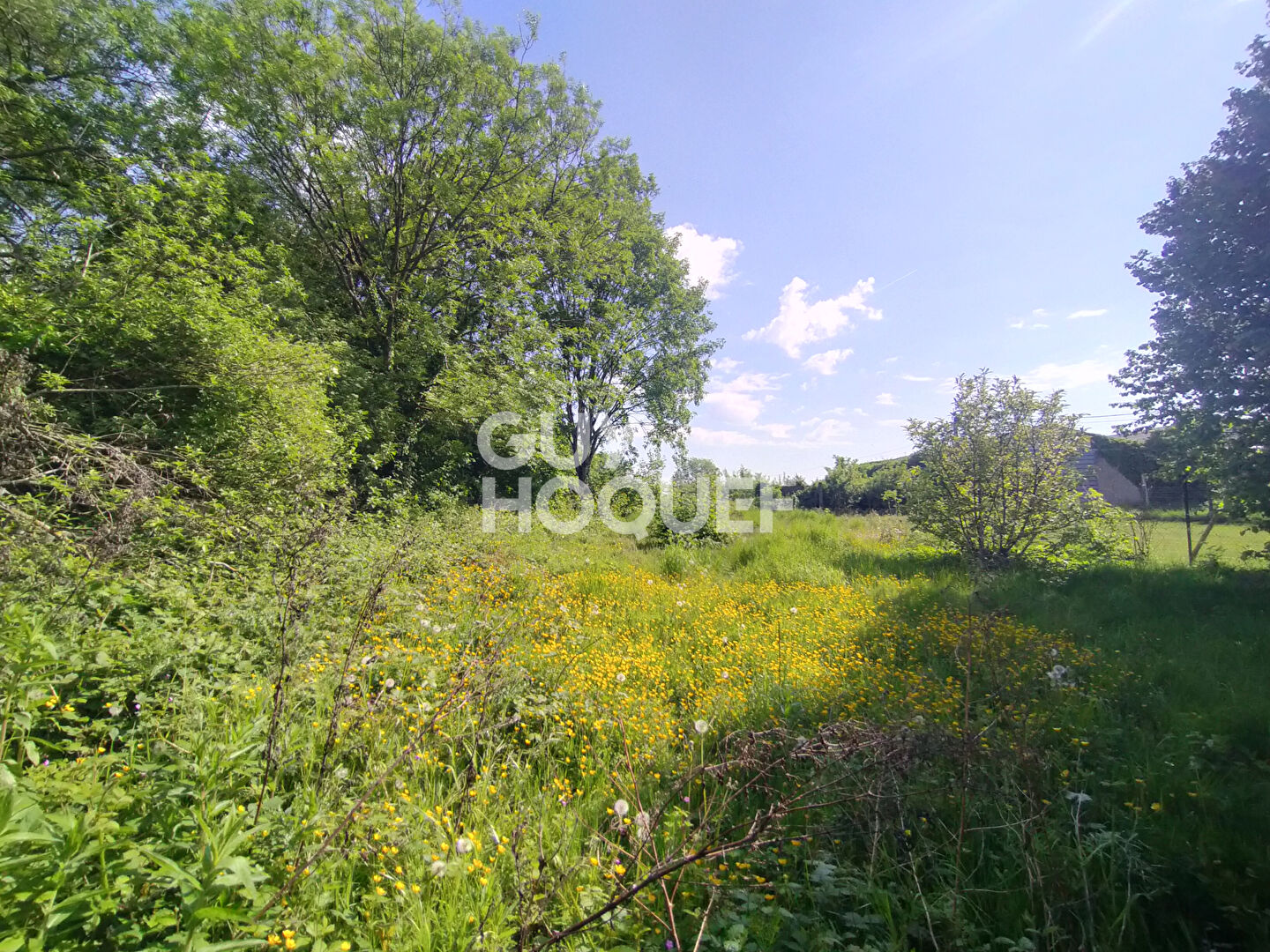 Maison à vendre à EPEHY (80740) 4 chambres 118 m² 1090 m² de terrain