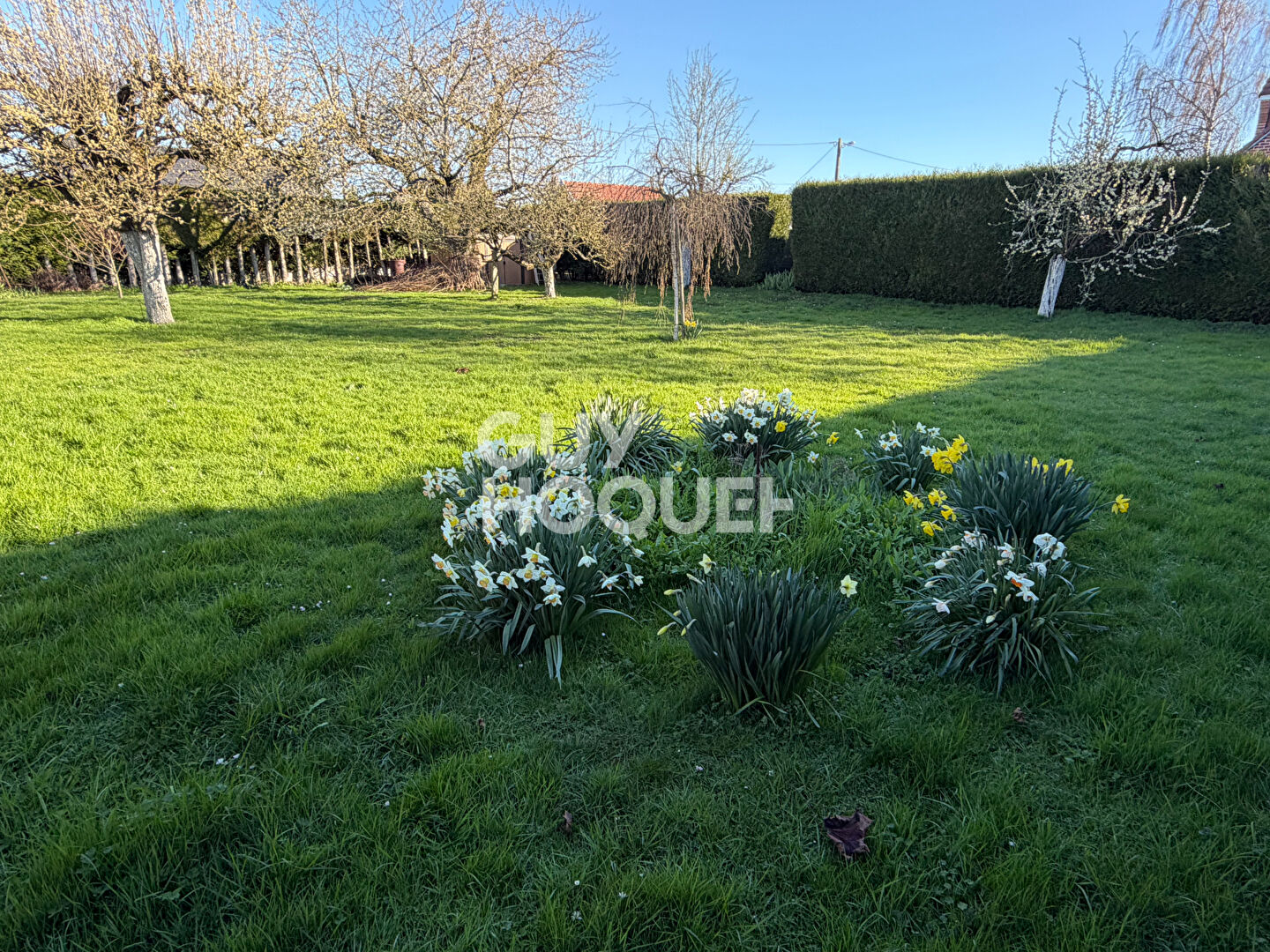 Maison avec charme à vendre à PÉRONNE (80200)