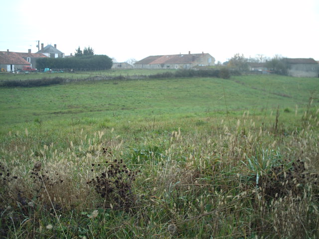 Terrain de 3391 m².