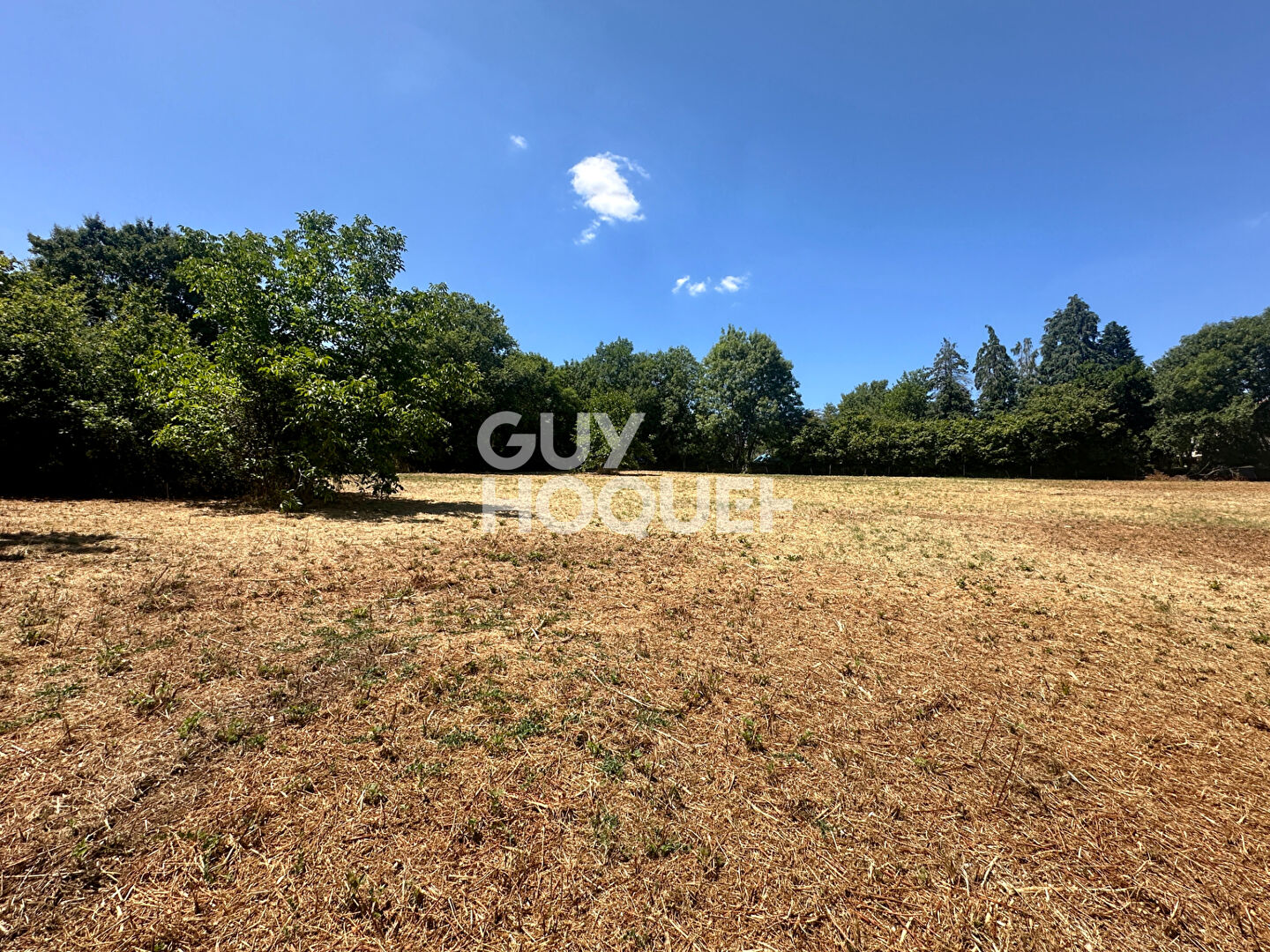 Terrain Mervent 3795 m2