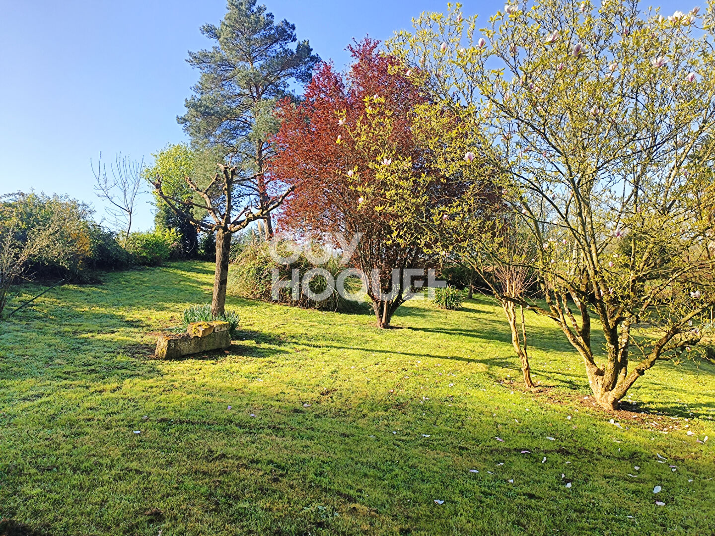 Maison Fontenay Le Comte