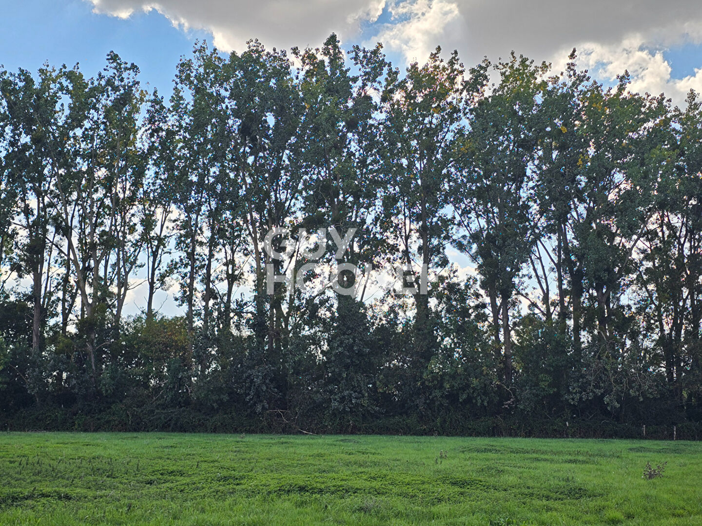 Terrain de loisirs Auchay Sur Vendee 6080 m2