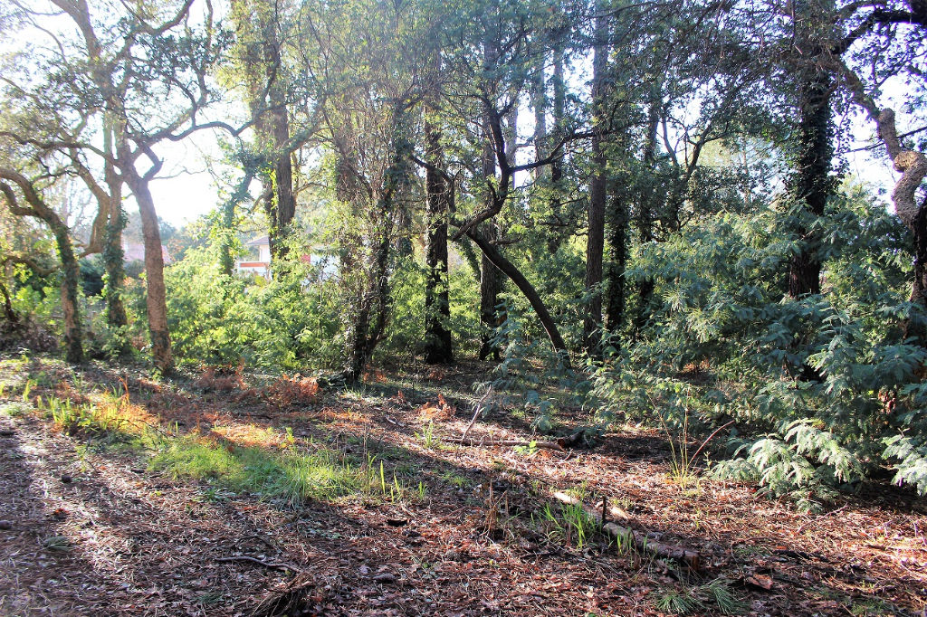 Labenne bourg, terrain constructible de 1046 m².