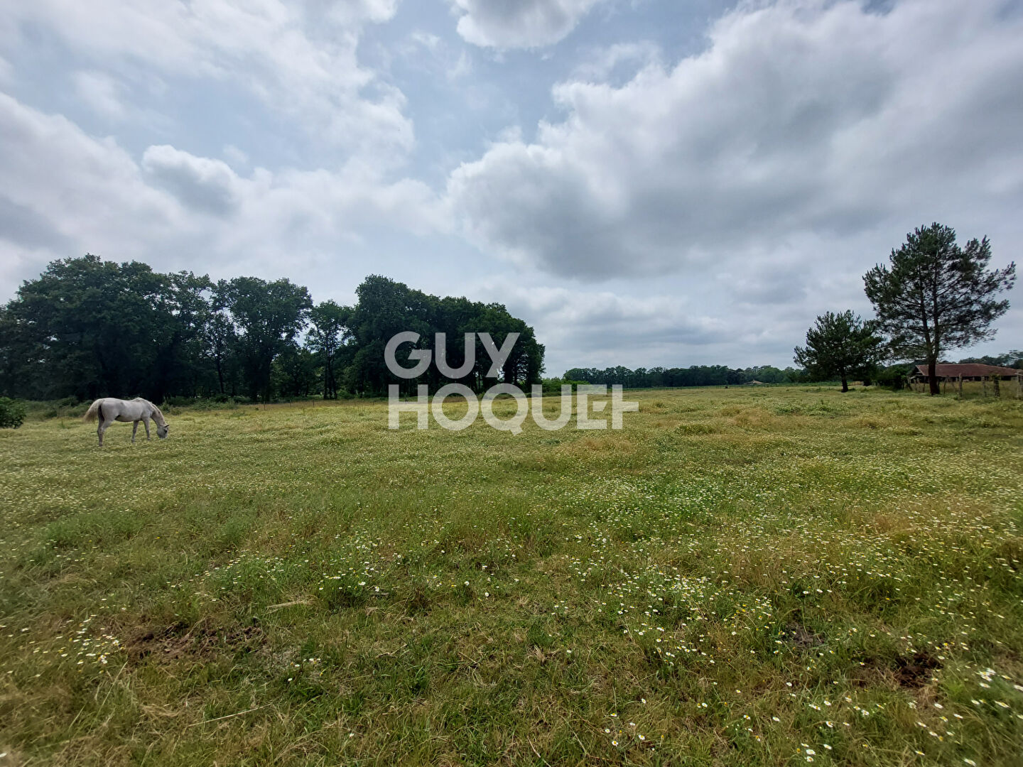 Propriété de charme St-Paul-Lès-Dax