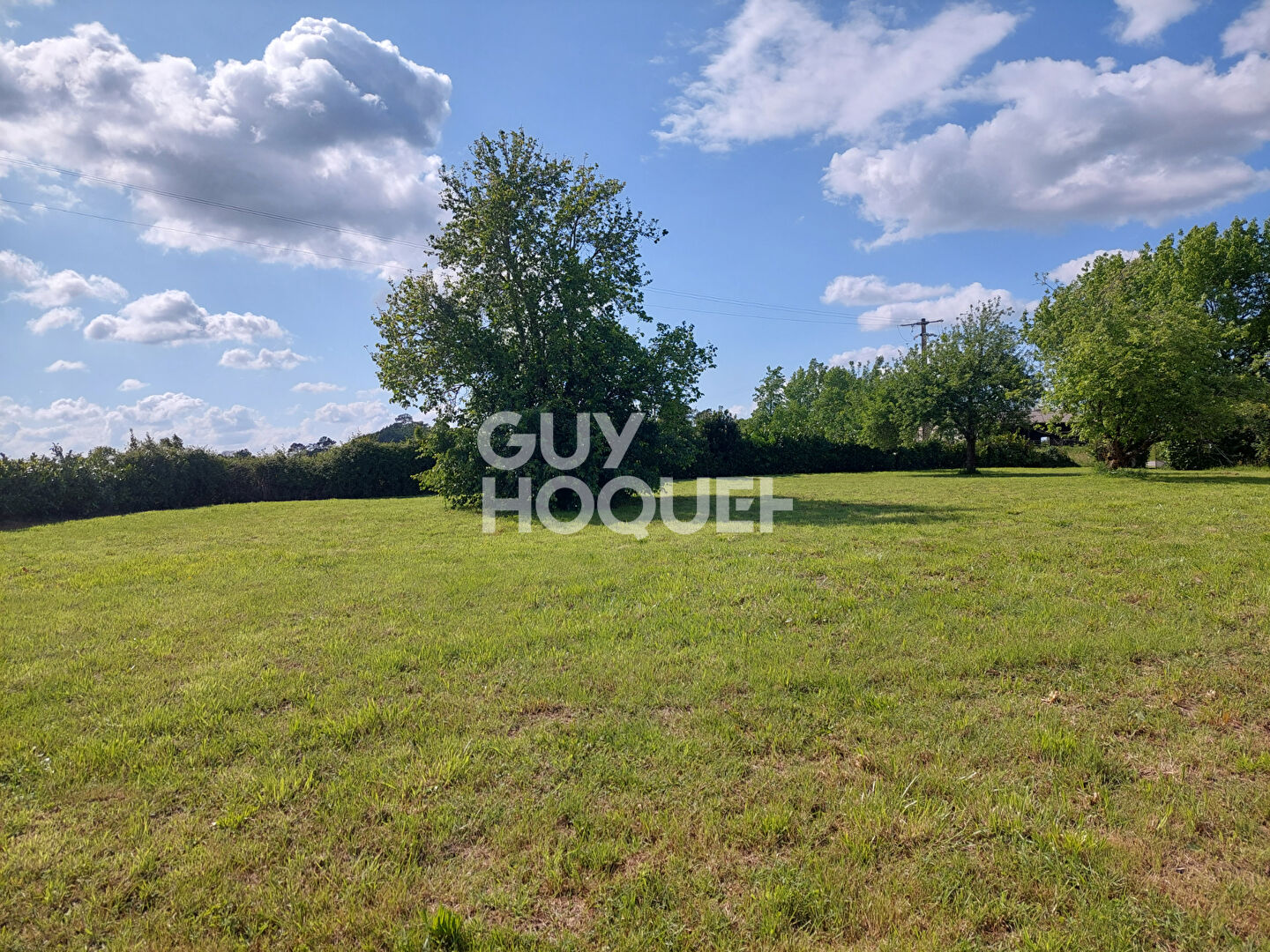 Maison de maître 8 pièces, avec plus de 3500 m² de terrain