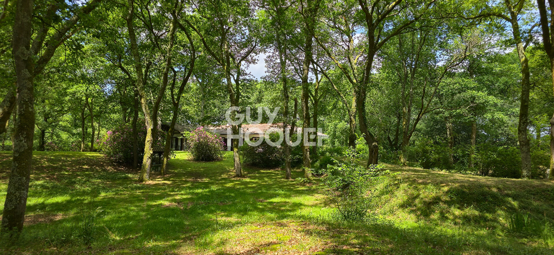 Maison de maître  258 m², 4 chambres parc de 2,2 hectares,