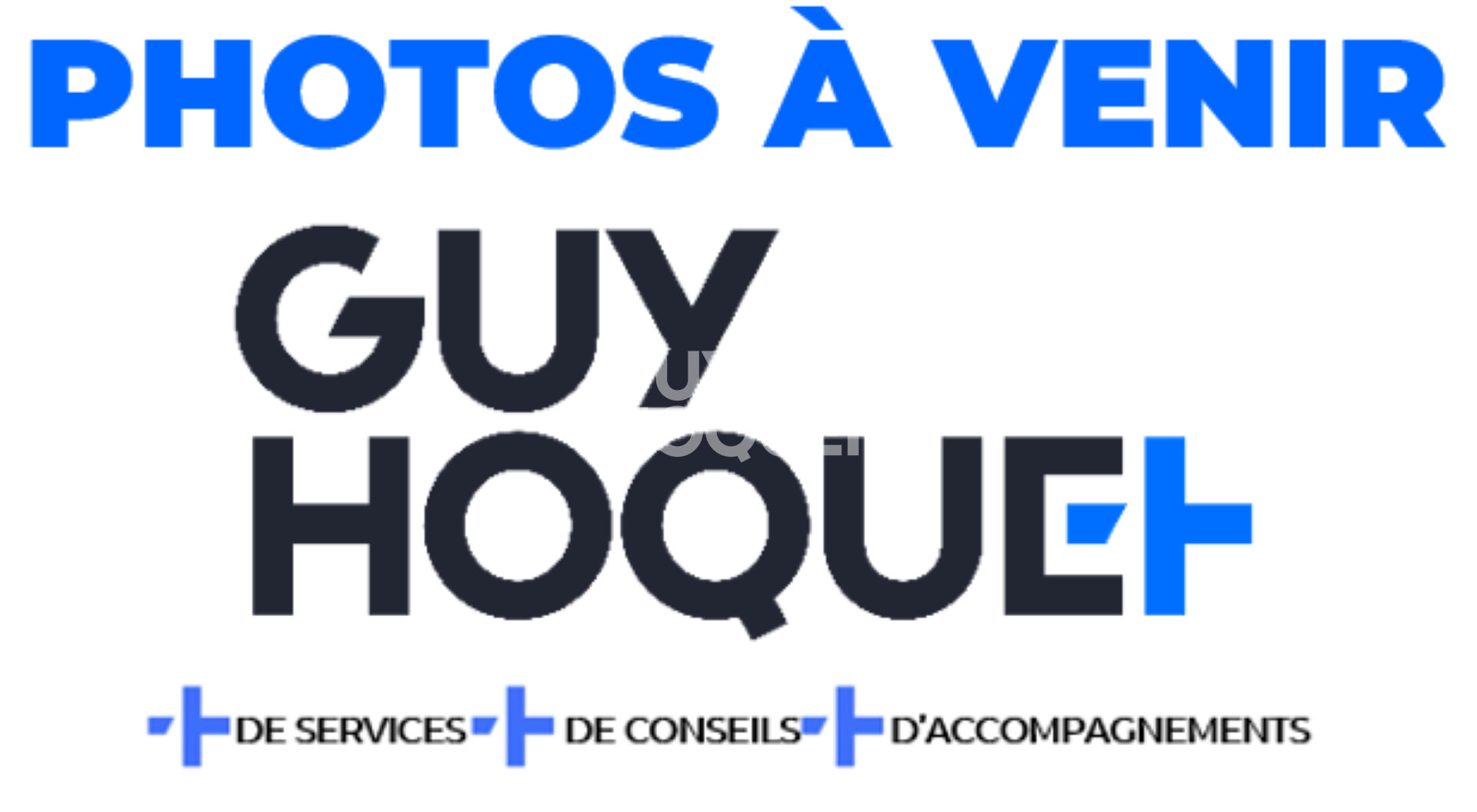 Très belle maison de maître à Mugron 12 pièces