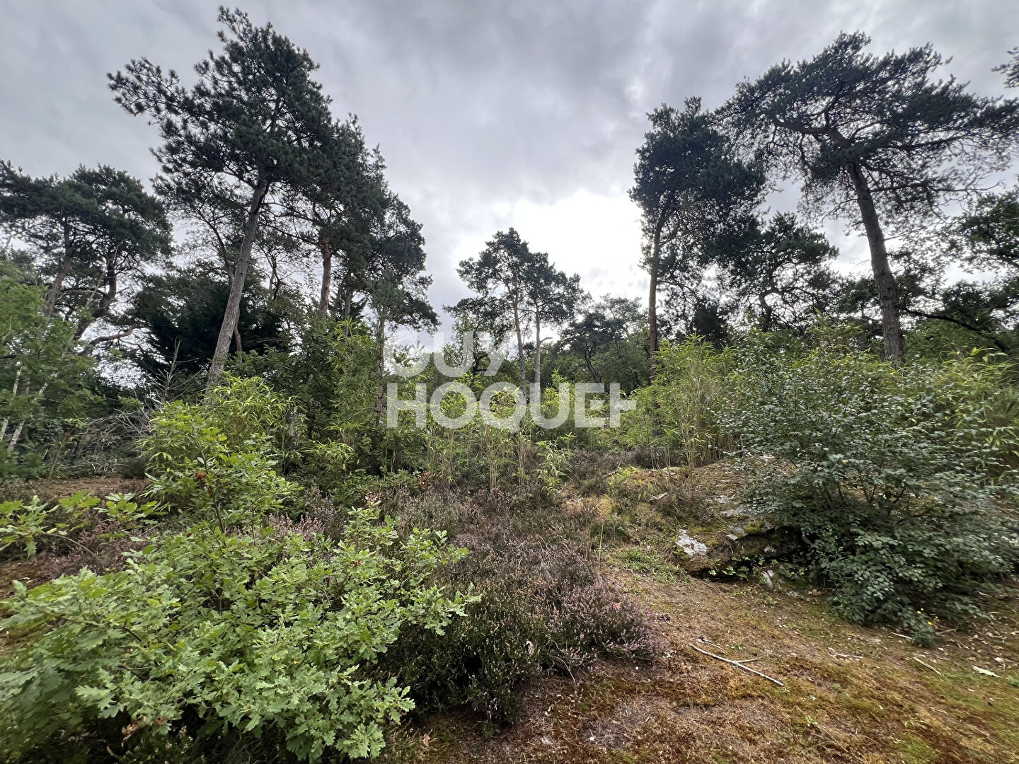 12 MIN SUD MILLY LA FORET