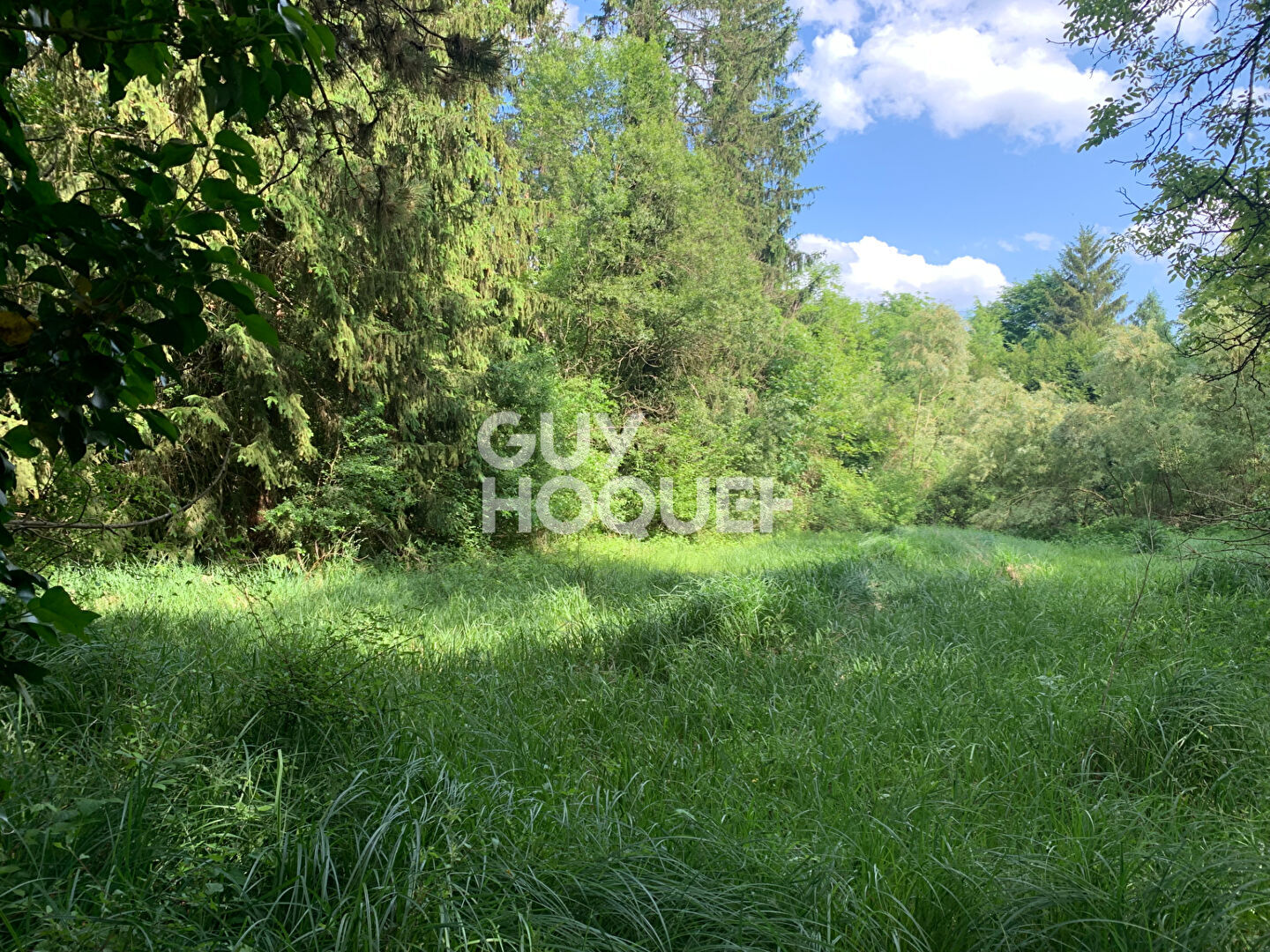 Exclusif - Terrain constructible - Bord d'Essonne