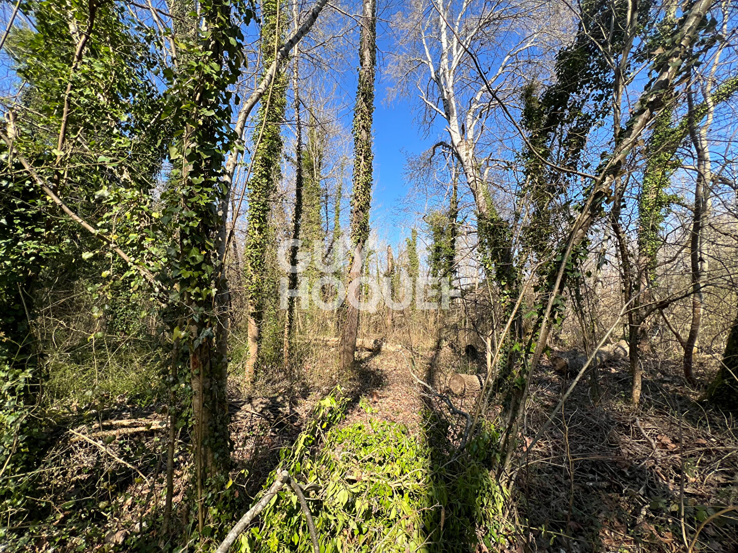 30 MIN FONTAINEBLEAU