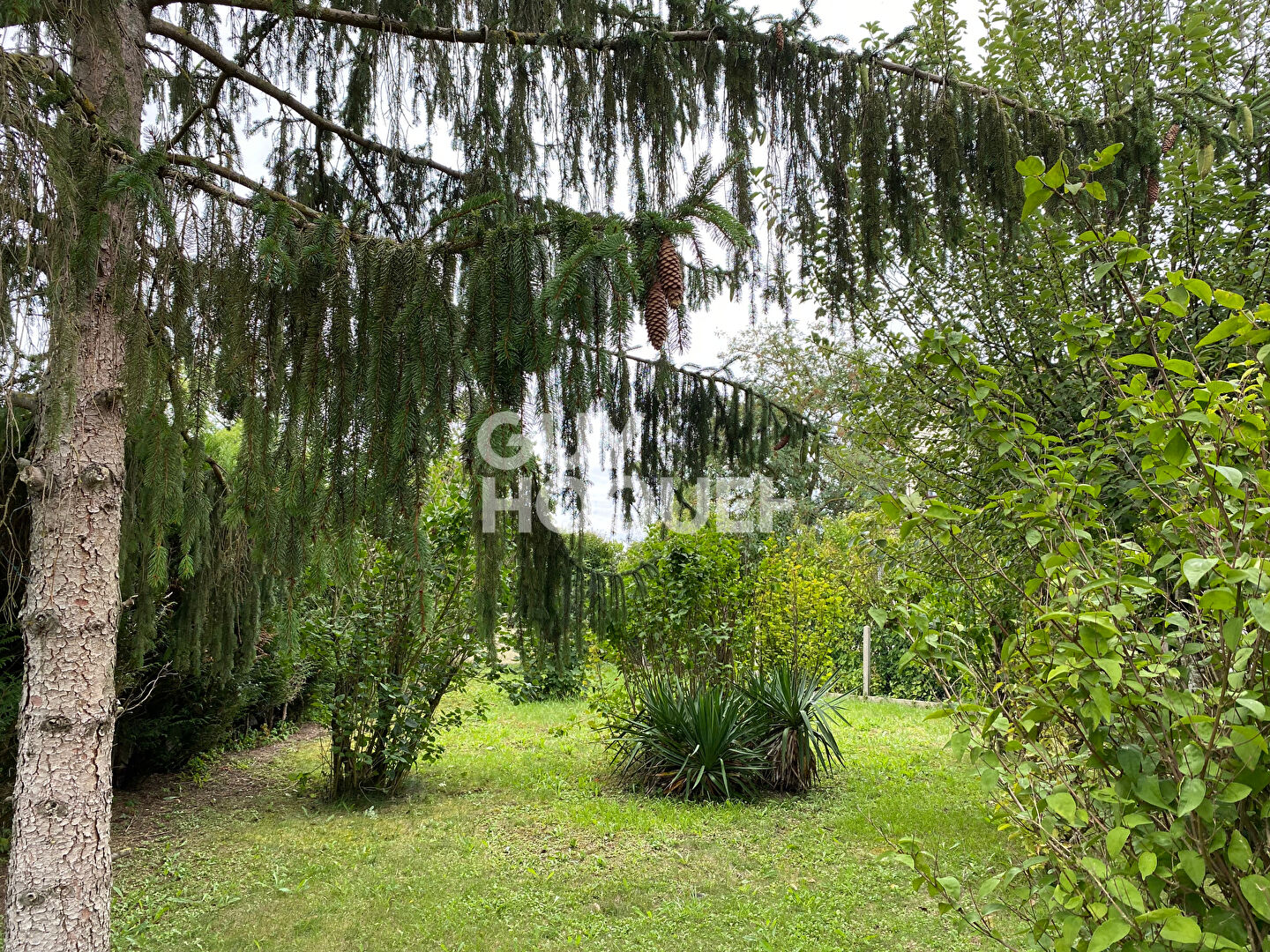 18 MIN SAINT PIERRE LES NEMOURS